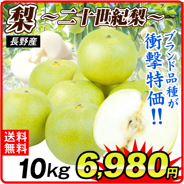 梨 10kg ご家庭用 二十世紀梨 長野産 送料無料 食品