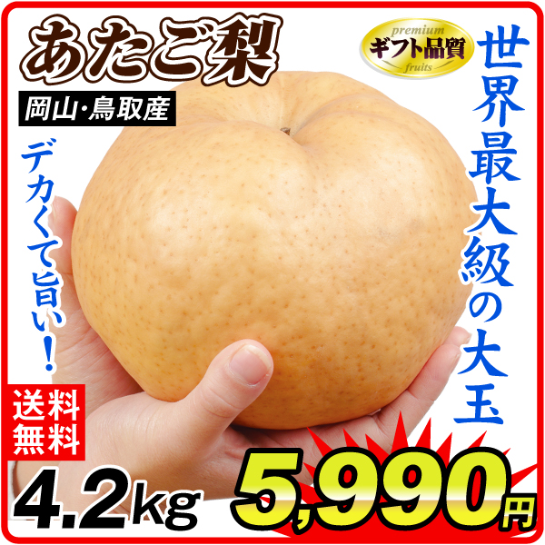 なし 岡山・鳥取産 愛宕梨 4.2ｋｇ 化粧箱入り 送料無料 食品
