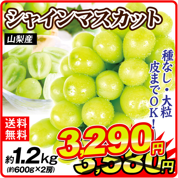 ぶどう 約1.2kg （約600g×2房） 大特価 シャインマスカット 山梨産 極甘 大粒 種なし高級ぶどう 皮ごとOK 葡萄 ブドウ 果物 フルーツ 送料無料 食品