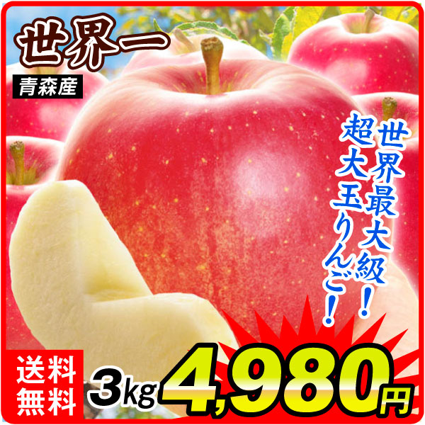 りんご 青森産 世界一 3㎏ 巨大 特大玉 贈答 送料無料 食品