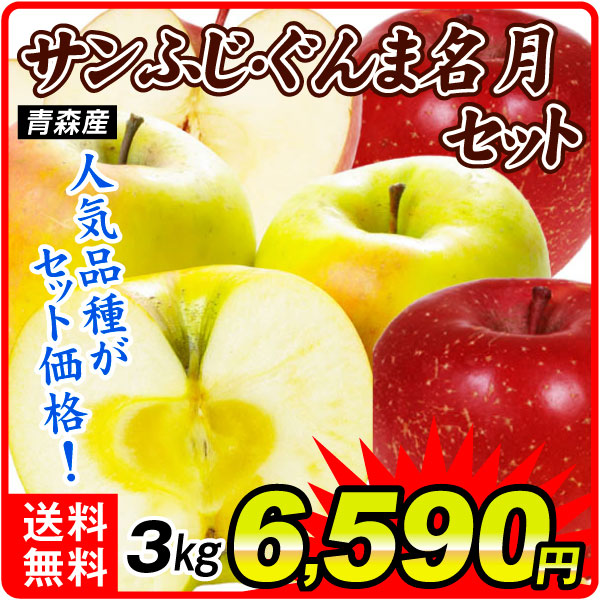 りんご 青森産 サンふじ ぐんま名月 セット 3㎏ 詰め合わせ 贈答 送料無料 食品