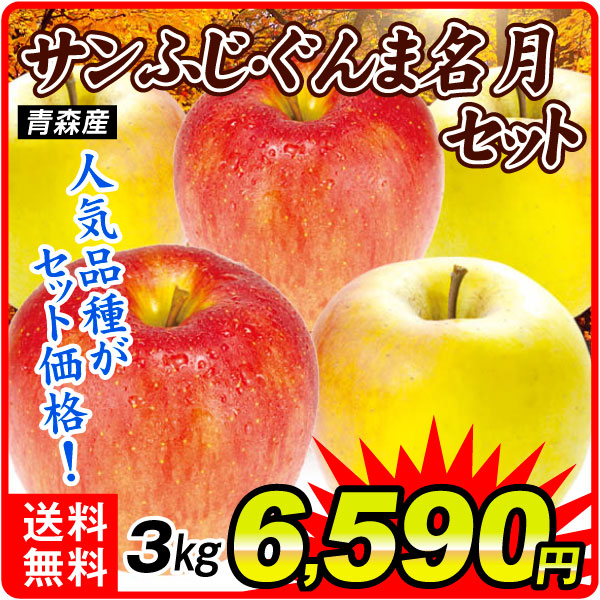 りんご 青森産 サンふじ ぐんま名月 セット 3㎏ 詰め合わせ 贈答 送料無料 食品