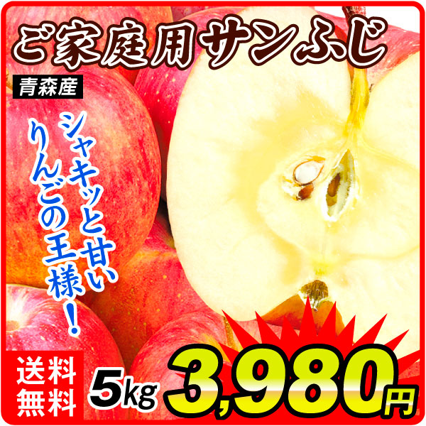 りんご 5kg ご家庭用 サンふじ 青森産 送料無料 食品