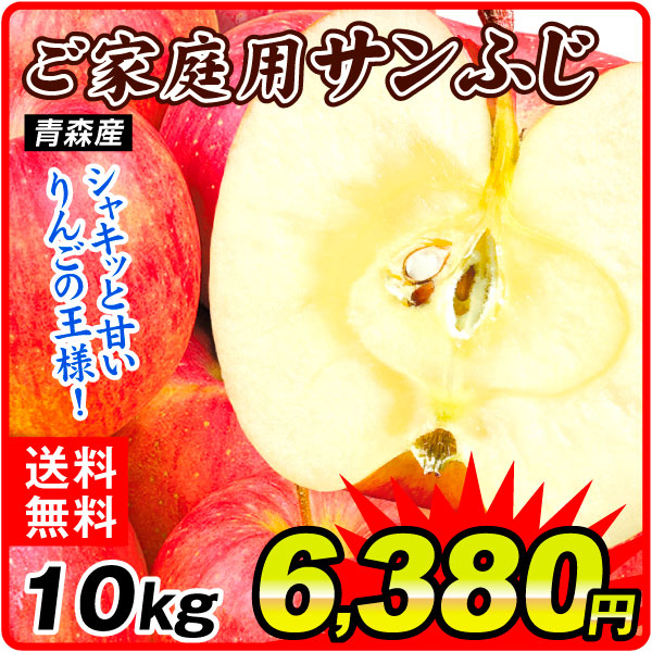 りんご 10kg ご家庭用 サンふじ 青森産 送料無料 食品