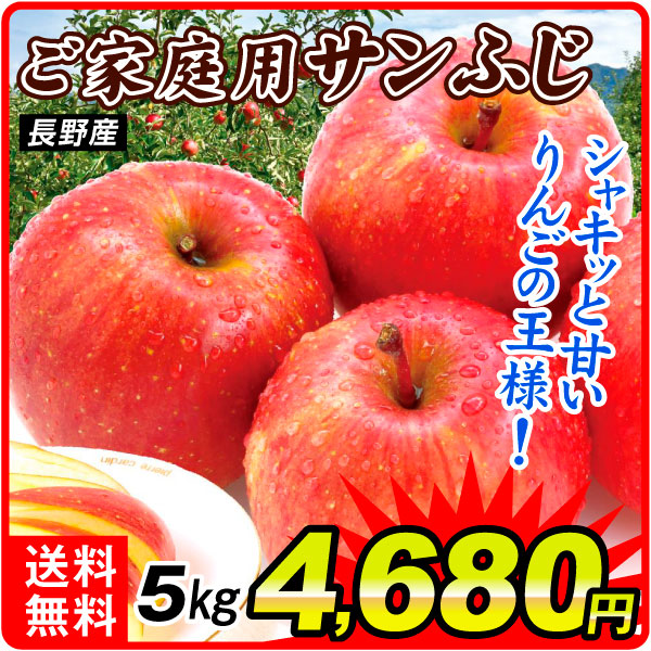 りんご 5kg ご家庭用 サンふじ 長野産 送料無料 食品