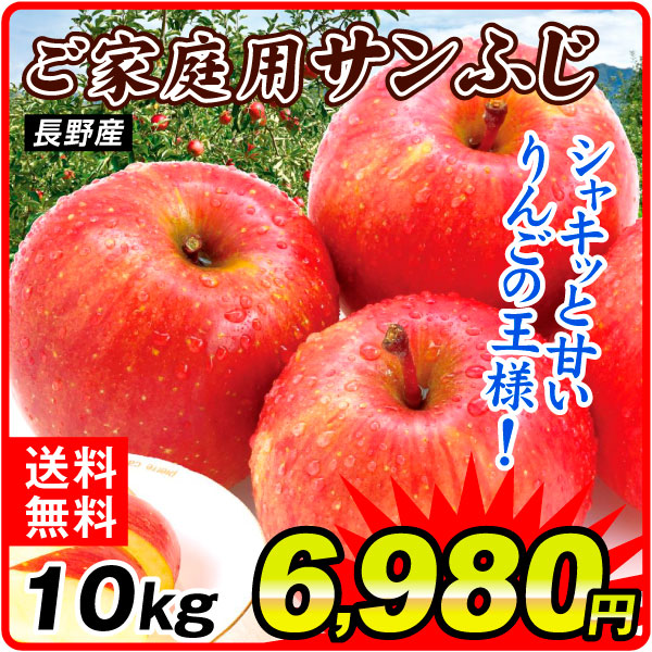 りんご 10kg ご家庭用 サンふじ 長野産 送料無料 食品