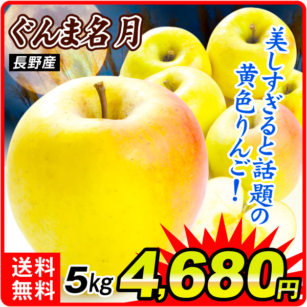 りんご 5kg ご家庭用 ぐんま名月 長野産 送料無料 食品