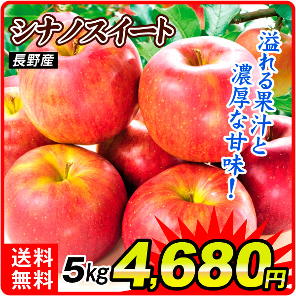 りんご 5kg ご家庭用 シナノスイート 長野産 送料無料 食品