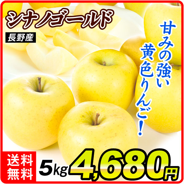 りんご 5kg ご家庭用 シナノゴールド 長野産 送料無料 食品