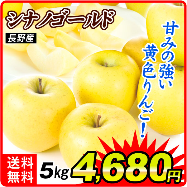 りんご 5kg ご家庭用 シナノゴールド 長野産 送料無料 食品