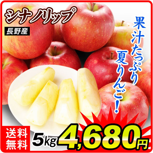 りんご 5kg ご家庭用 シナノリップ 長野産 送料無料 食品