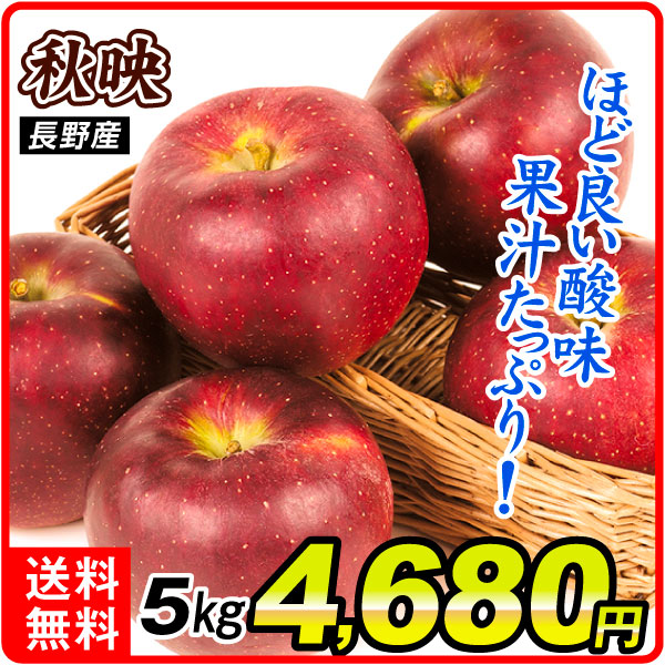 りんご 5kg ご家庭用 秋映 長野産 送料無料 食品