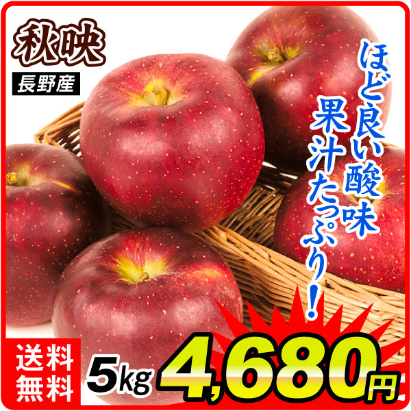 りんご 5kg ご家庭用 秋映 長野産 送料無料 食品