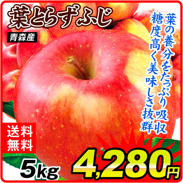 りんご 5kg ご家庭用 葉とらずふじ 青森産 送料無料 食品