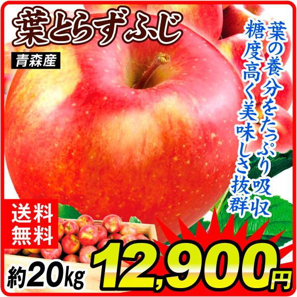 りんご 約20kg ご家庭用 葉とらずふじ 木箱 青森産 送料無料 食品
