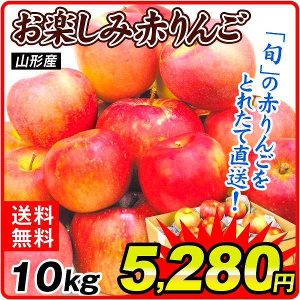りんご 10kg お楽しみ赤りんご 山形産 送料無料 食品