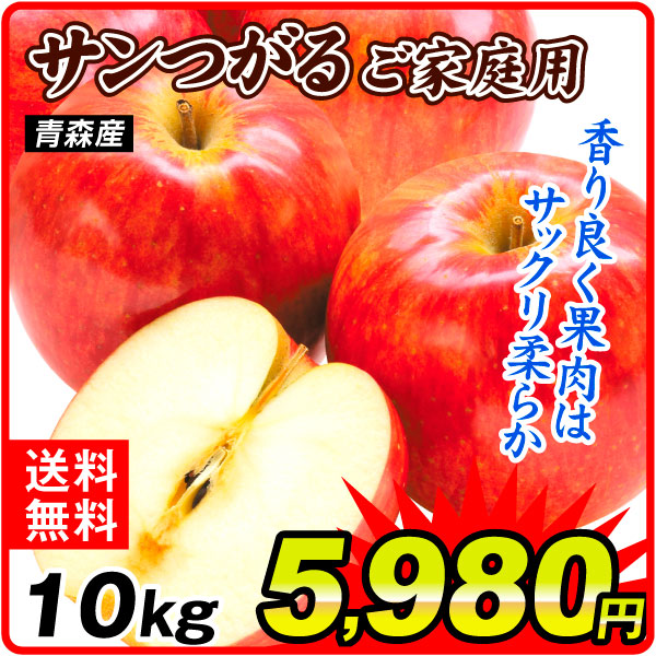 りんご 10kg ご家庭用 サンつがる 青森産 送料無料 食品