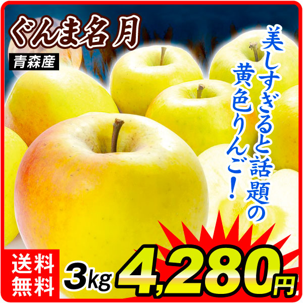 りんご 3kg ぐんま名月 青森産 送料無料 食品