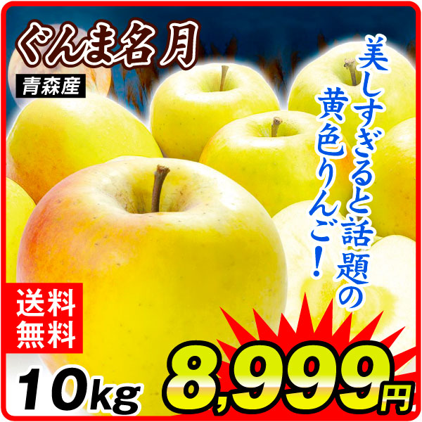 りんご 10kg ぐんま名月 青森産 送料無料 食品