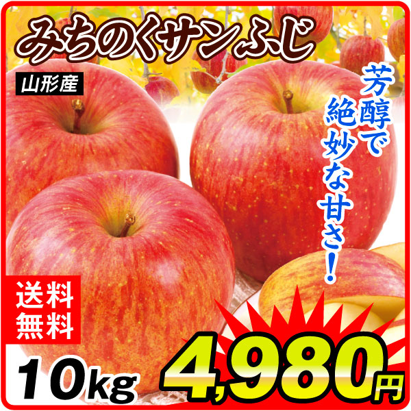 りんご 10kg みちのくサンふじ 山形産 送料無料 食品