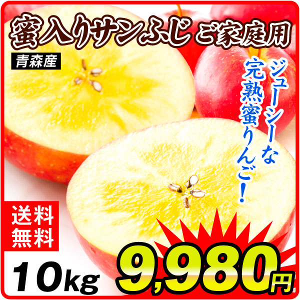 りんご 10kg ご家庭用 蜜入りサンふじ 青森産 送料無料 食品