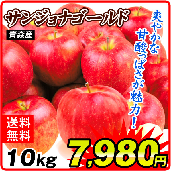 りんご 10kg サンジョナゴールド 青森産 送料無料 食品