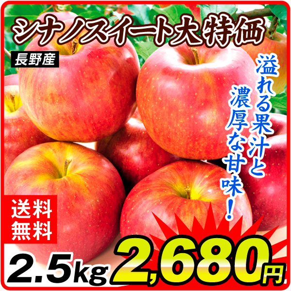 りんご 2.5kg 大特価 シナノスイート 長野産 送料無料 食品