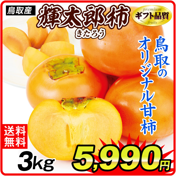 かき 鳥取産 輝太郎柿 3㎏ 送料無料 食品