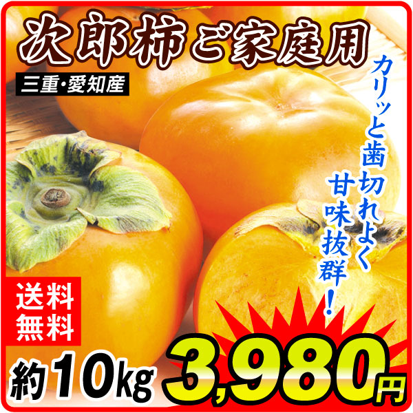 柿 約10kg ご家庭用 次郎柿 三重・愛知産 送料無料 食品