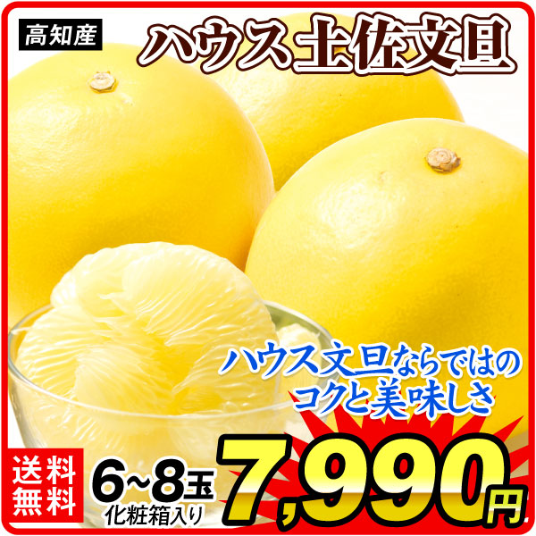 みかん 高知産 ハウス文旦 6～8玉 化粧箱 土佐文旦 ぶんたん 冬ギフト 送料無料 食品
