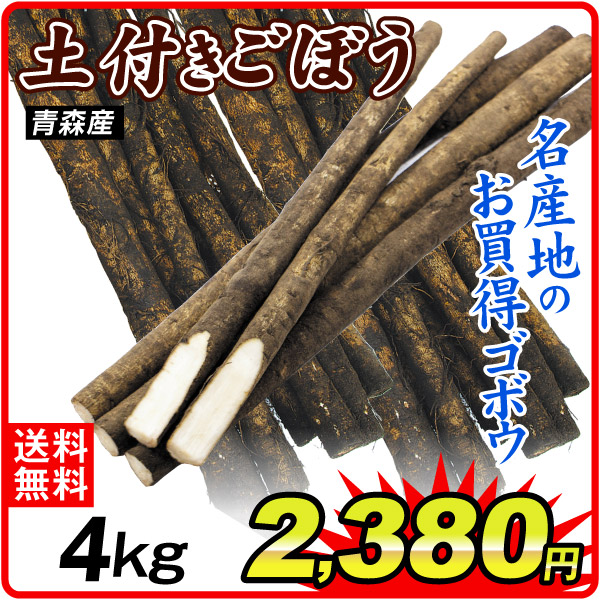 ごぼう 青森産 土付きごぼう 4㎏ 送料無料 食品