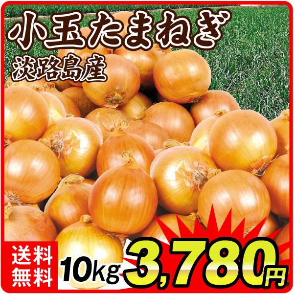 たまねぎ 10kg 小玉たまねぎ 淡路島産 送料無料 食品