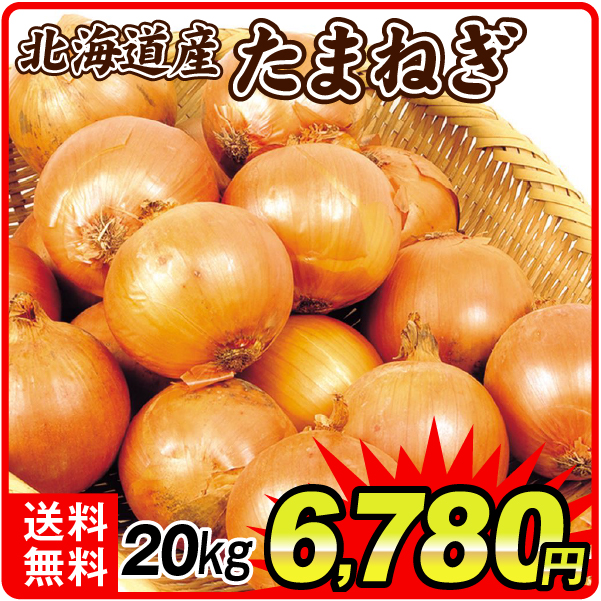たまねぎ 20kg たまねぎ 北海道産 送料無料 食品