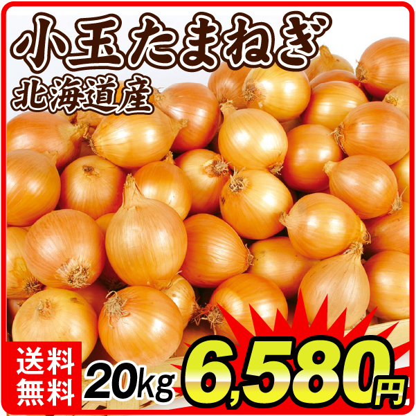 たまねぎ 20kg 小玉たまねぎ 北海道産 送料無料 食品