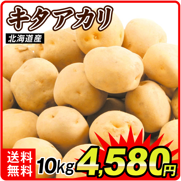 じゃがいも 10kg キタアカリ 北海道産 送料無料 食品