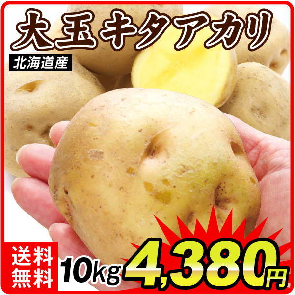 じゃがいも 10kg 大玉キタアカリ 北海道産 送料無料 食品
