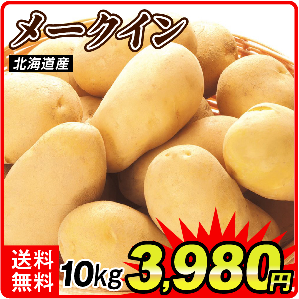 じゃがいも 10kg メークイン 新物 北海道産 送料無料 食品