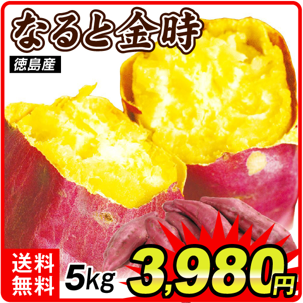 さつまいも 5kg ご家庭用 なると金時 徳島産 送料無料 食品