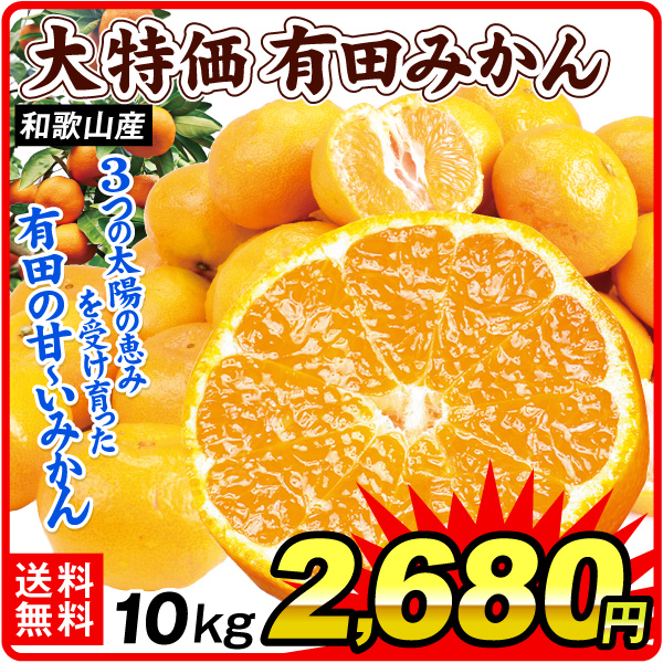 みかん 10kg 大特価  ご家庭用  有田みかん 和歌山産 送料無料 食品 【発送開始予定：2026年11月中旬頃】