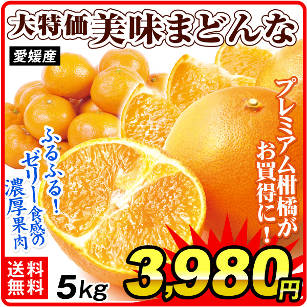 みかん 5kg 大特価 美味まどんな 愛媛産 送料無料 食品