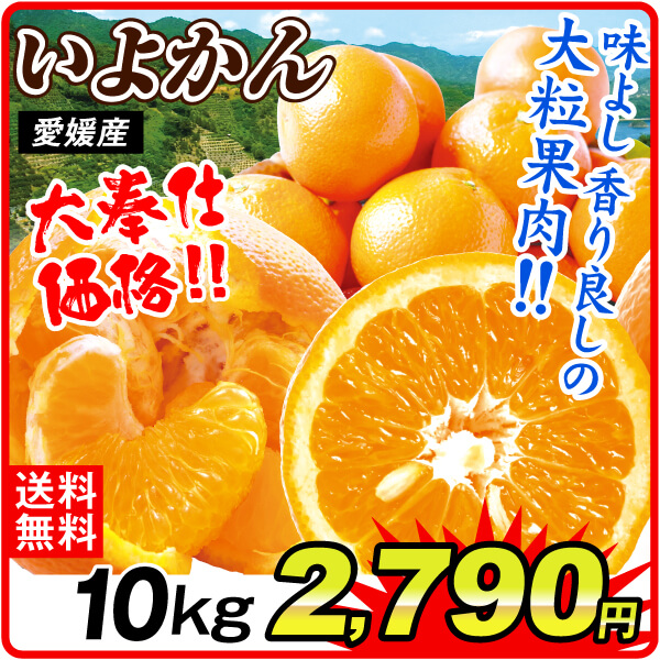 みかん 10kg 大特価 いよかん 愛媛産 送料無料 食品