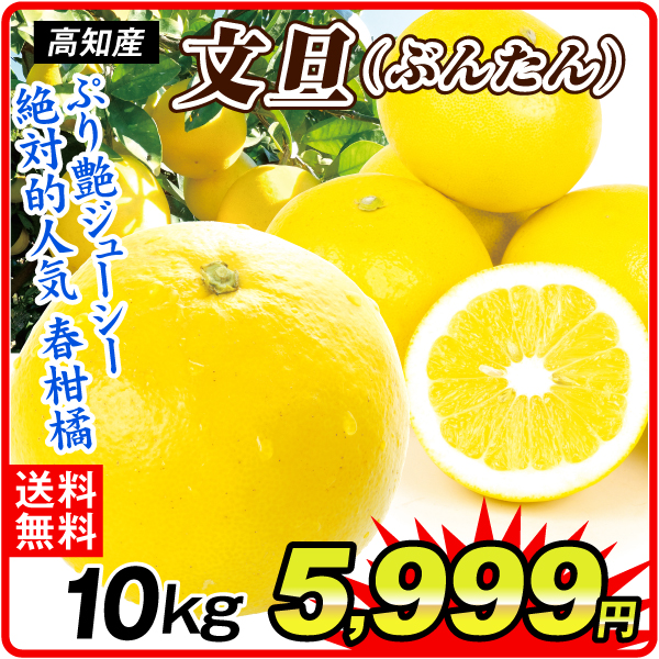 みかん 10kg ご家庭用 文旦高知産 送料無料 食品