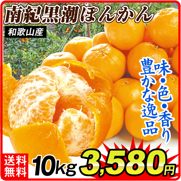みかん 10kg 南紀黒潮ポンカン 和歌山産 送料無料 食品