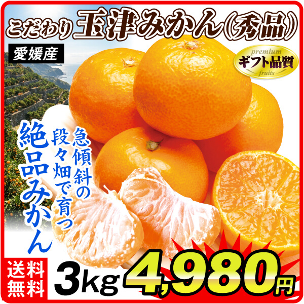 みかん 3kg 愛媛こだわり玉津みかん 秀品 愛媛産 送料無料 食品
