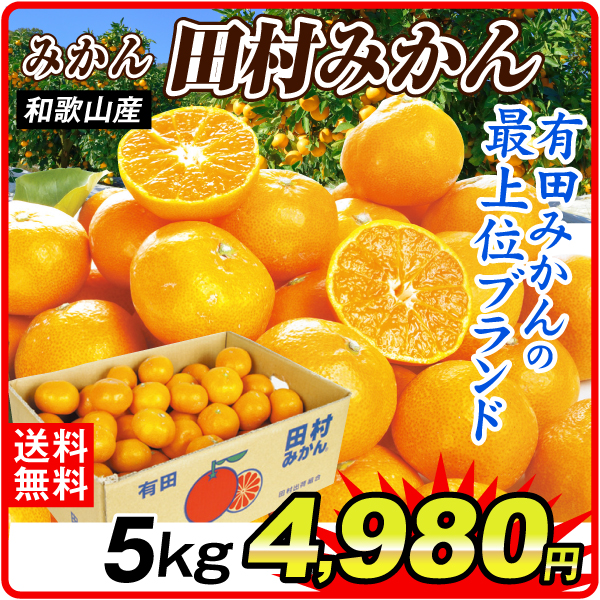 みかん 5kg 田村みかん 和歌山産 送料無料 食品