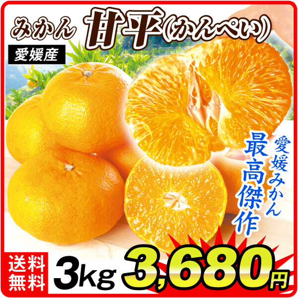 みかん 3kg ご家庭用 甘平 愛媛産 送料無料 食品