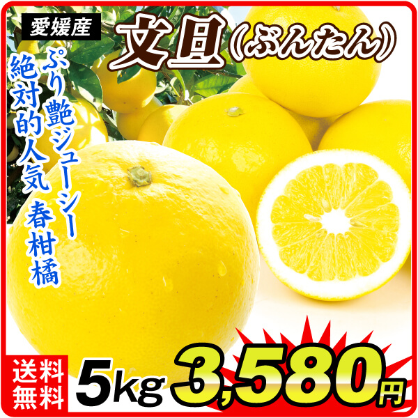 みかん 5kg 大特価 早出しぶんたん 愛媛産 送料無料 食品