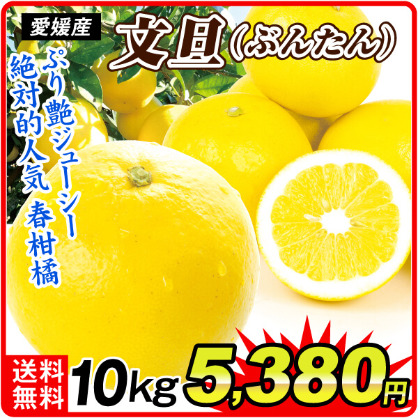 みかん 10kg 大特価 早出しぶんたん 愛媛産 送料無料 食品