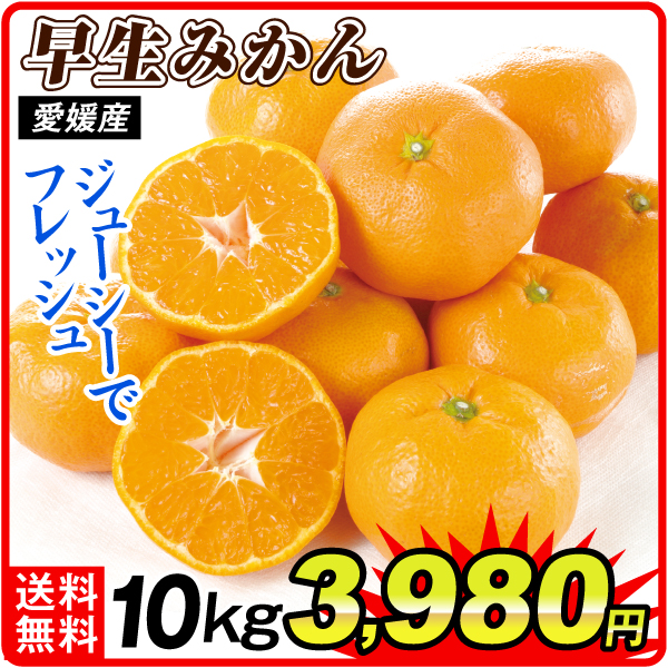 みかん 10kg ご家庭用 みかん（早生）愛媛産 送料無料 食品