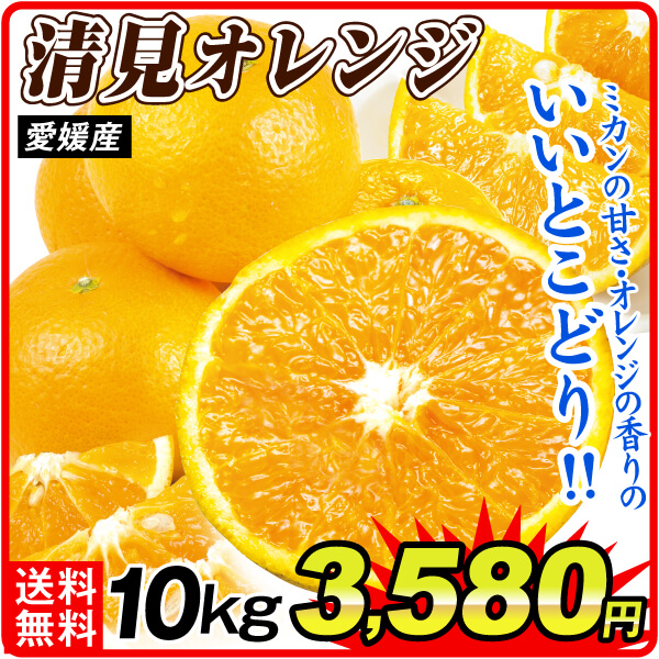 みかん 10kg 大特価 清見オレンジ 愛媛産 送料無料 食品